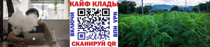 Виды наркоты Севск ГАШ  А ПВП  КОКАИН  LSD-25  Героин  Канабис  Меф мяу мяу 