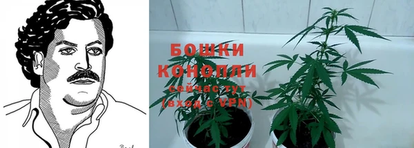 прущие грибы Нязепетровск