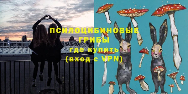 PSILOCYBIN Балабаново